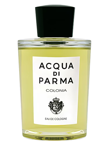 Acqua Di Parma Colonia Intensa EDC 100 ml U Tester