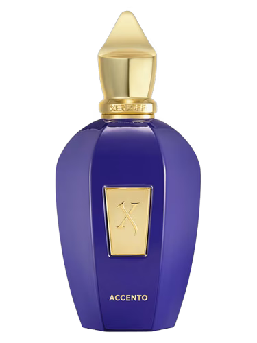 Xerjoff Accento EDP 100 ml U