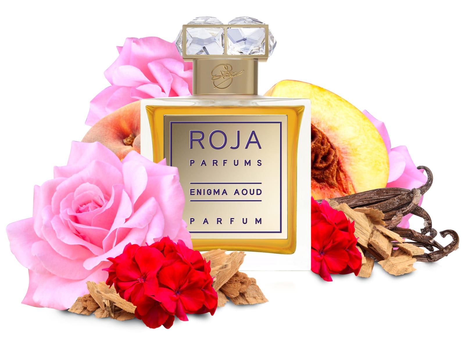 Roja Enigma Aoud Pour Femme Parfum 100 ml D Tester